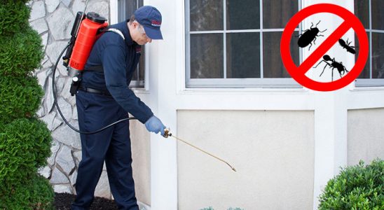 Bucak Hamam Böceği İlaçlama böcek ilaçlama ve haşere kontrolü — ilaclama-tr.com
